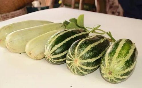 网红吃瓜免费,免费福利来袭，揭秘娱乐圈幕后故事