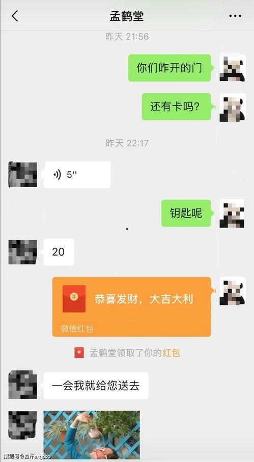 吃瓜圈qq聊天记录网红,网红背后的真实故事