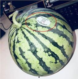 邳州网红吃瓜,揭秘网络红人的幕后故事