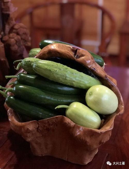 去哪里吃网红瓜好吃呢