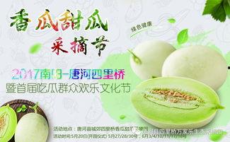 网红吃瓜大集合图片,一场视觉盛宴的狂欢时刻