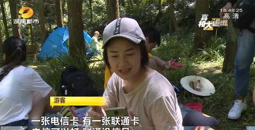 网红蔡二哥吃瓜视频播放,揭秘网红圈幕后故事