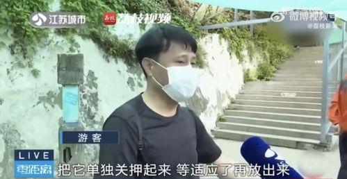网红卞某吃瓜是真的吗视频,揭秘网红卞某“吃瓜是真的吗”视频真相